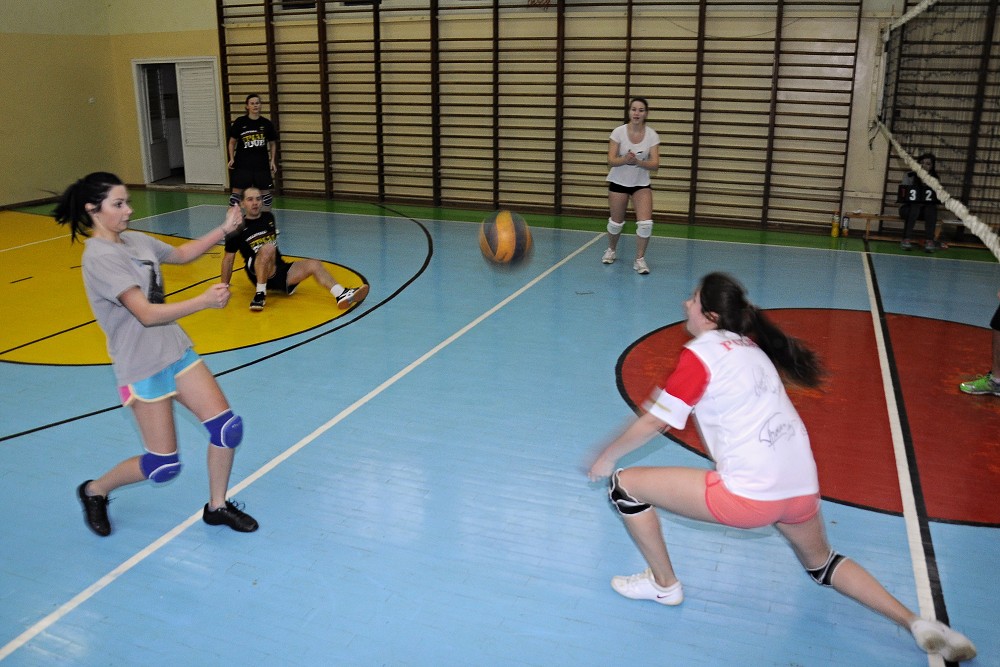 img00005.jpg
